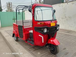 GOFOGO de Tres Ruedas de Alta Calidad Hecho en India en Venta - Product Image 3