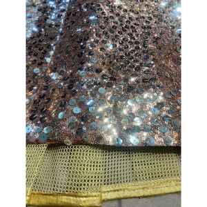 Beautiful Heavy Sequence Work Lehenga Choli for Party or Cocktail <b>Dresses</b> - Product Image 6