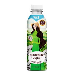 Zumo de Guanábana OEM ODM fabricante de bebidas de etiqueta privada formulación personalizada FÁBRICA DE Vietnam 500ml botella para mascotas 24 por caja - Product Image 1