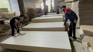 Contrachapado de Álamo Ligero para Interiores y Muebles |   Manuseo Sencillo |   Fabricante de Madera Contrachapada de Vietnam, Panel E0 E1 - Product Image 2