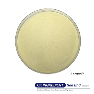 Polvo de Jugo de Plátano de Primera Calidad, Garantía del Mejor Proveedor, Halal, OEM, B2B, Saborizante Natural para Repostería y Smoothies - Product Image 5