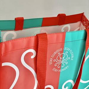 Bolsa de compras de polipropileno no tejido antiestática con impresión flexográfica y asa, para compras de supermercado, fabricada en Vietnam. - Product Image 1