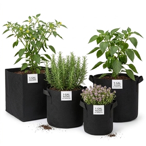 Organic Cocopeat and Coconut Husk Chips Growing Media Grow Bag for Hydroponic s, Seedlings, Nursery and Farming Tamil Nadu India - Product Image 5