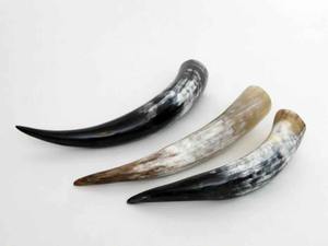Drinking Horn Buffalo Ox Horn Glasses Handmade Beer Cup Eco Friendly Natural Look - Product Image 5