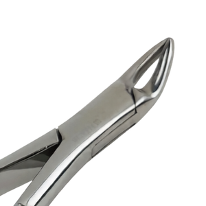 Forceps d'extraction dentaire # Instrument chirurgical dentaire en acier inoxydable pour l'extraction des 150 incisives supérieures et des dents radiculaires - Product Image 4