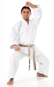 Kimono de Jiu Jitsu Más Vendido, Uniforme Unisex para Artes Marciales, BJJ Gi, Karate, Taekwondo, Judo, Elástico, con Logotipo Frontal - Product Image 3