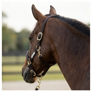2026 Best-seller Halter pour cheval en corde de nylon durable, style arabe à paillettes, design moderne, personnalisable, marque privée - Product Image 2