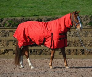 Couverture d'hiver de luxe pour chevaux Rip Stop 600d-350g, toutes tailles 5'3-7'0, avec sangles de fixation pour les jambes - Product Image 1