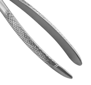 ARISTON INTERNATIONAL Pinzas de Extracción Dental de Acero Inoxidable, Uso Profesional Manual, Instrumentos Quirúrgicos Dentales Ergonómicos - Product Image 3