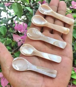 Cuchara de Concha Marina Ecológica, MUY VENDIDA |   Paquete de Cucharas de Concha Naturales Hechas a Mano y Sostenibles - Product Image 6