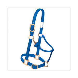 Harnais de cheval en nylon bleu avec quincaillerie en laiton, ajustement réglable pour usage équestre - Product Image 6