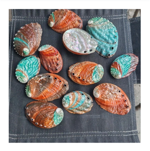 Natural Oval <b>Abalone</b> <b>Shells</b> Raw Material for Home Decoration Craft Jewelry Making Nature Theme Handicrafts - Product Image 1