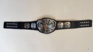 Ceinture de championnat ECW World Wrestling Entertainment, design en métal plaqué or léger, sangle en cuir PU noir MMA, unisexe - Product Image 6