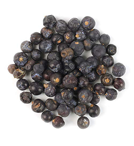 Wholesale Supply For Private Label Brands Premium Quality Bulk Natural Dried Juniper Berries 2026 New Season Organic - Product Image 1