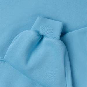 Sudadera con Capucha de Felpa de Algodón y Poliéster de Alto Gramaje al por Mayor, Fabricante y Proveedor OEM ODM, Ropa Casual con Logotipo Personalizado a Granel - Product Image 6