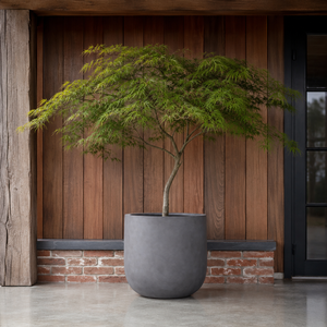 Curvaceous form Round Bowl Fiberglass Plant <b>Pot</b> Grey Smooth Surface Outdoor Patio Garden Planter Set of 5 Sizes 30-70cm - Product Image 4