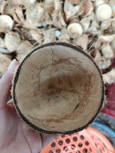 VigiFarm Coquilles de noix de coco 100 % naturelles, matière première durable en vrac du Vietnam pour biochar, poterie, décoration intérieure, modèle Tina - Product Image 3