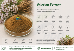 HGO Factory Fourniture directe d'extrait de valériane naturel pur (qualité alimentaire) Spécification 10:1 (extrait de rapport) - Product Image 2