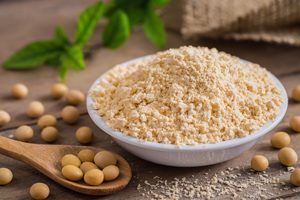 Proteína de Soya Texturizada 100% Sin Gluten, Suministro a Granel de Brasil - Product Image 2