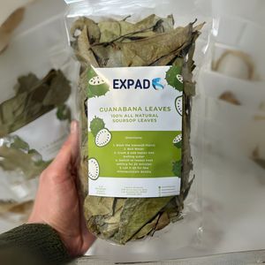 Feuilles de corossol séchées naturelles, Graviola, pour tisane, ingrédient pour boisson bien-être, approvisionnement en vrac, export, emballage sous vide - Product Image 3