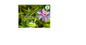 Extracto de Flor de la Pasión, Suplemento Herbal Natural para el Alivio del Estrés, Relajación, Apoyo al Sueño y Equilibrio del Estado de Ánimo - Product Image 1