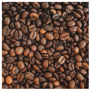 เมล็ดกาแฟอาราบิก้า / เมล็ดกาแฟโรบัสต้า / เมล็ดกาแฟคั่ว - Product Image 2