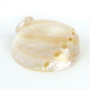Coquilles d'ormeau polies, vente en gros, perles d'ormeau propres, prix le plus bas du Vietnam, prêt à être exporté - Product Image 4