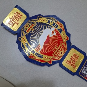 TBA Boxing Jiu-Jitsu Championship <b>Belt</b> Customized Names Logo Blue Gold <b>Red</b> Design 1.5M Length Brass Zinc Steel Material Proud 30 - Product Image 1