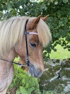 Headstall de caballo occidental portátil de alta calidad, cuero negro duradero con banda de cejas de cristal blanco, Headstall de cuero Premium - Product Image 2