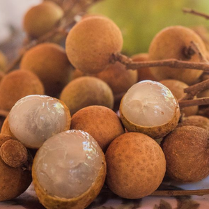 ลำไยอบแห้งสำหรับขายส่งชา |   ผลไม้อบแห้งคุณภาพสูงจากเวียดนาม - Product Image 3