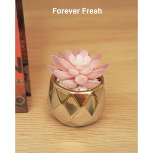 Vasi in Ceramica Rosa Dorata con Piccole Piante Succulente Artificiali, Decorazioni Natalizie per Interni, Frutta Natalizia in Ceramica Dorata - Product Image 5