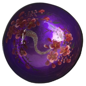 ชุดชามมะพร้าวออร์แกนิก100% เป็นมิตรกับสิ่งแวดล้อม - Product Image 2