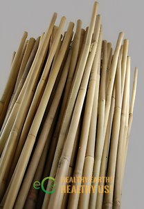 Estacas de Bambú Eco2go Vietnam, Color Bambú Natural, Diseño Moderno y Simple, Soporte para Plántulas, Plantas en Maceta, Jardinería - Product Image 5