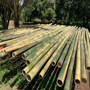 Poteau en bambou d'usine du Vietnam avec la taille adaptée aux besoins du client pour la décoration/construction-poteaux en bambou pour des piquets de jardin de plantes - Product Image 6