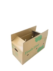 Luxury High Quality Eco-Friendly Recyclable Corrugated Paper Rigid Carton Box for Fresh Fruit Feed Flour Packaging Customized - Product Image 4
