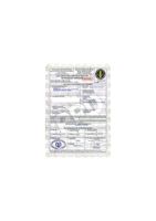 Gingembre frais jaune du Vietnam 100% Cao Bang, haute qualité, stockage frigorifique, durée de conservation de 2 ans, sac en filet de 20 kg, export alimentaire