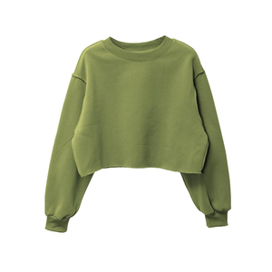 เสื้อฮู้ดดี้ผู้หญิงสั่งทำขายส่ง ผ้าฝ้ายเวลัวร์ 100% ระบายอากาศได้ดี สไตล์สตรีทแวร์ สำหรับฤดูหนาว - Product Image 1