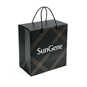 Sac en papier kraft de luxe écologique avec logo en feuille d'or, robuste et réutilisable, idéal pour les cadeaux haut de gamme - Product Image 2