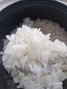 Riz à sushi Koshihikari - Riz japonica à grains moyens, riz rond, vente en gros de 5 kg à 25 kg, meilleur prix - MaxRice - Product Image 4