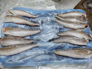 Halibut Congelado al por Mayor de Primera Calidad, Exportación a Granel, Grado Alimenticio, Stock Disponible, Suministro de la Mejor Calidad - Product Image 5