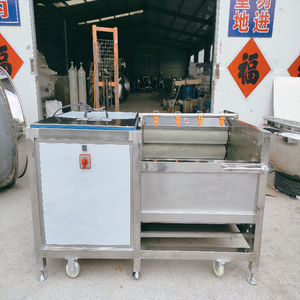 Équipement en acier inoxydable de rondelle de fruits et légumes à haute efficacité pour carottes pommes de terre tomates <span class=keywords><strong>aubergines</strong></span> et <span class=keywords><strong>courgettes</strong></span> - Product Image 2