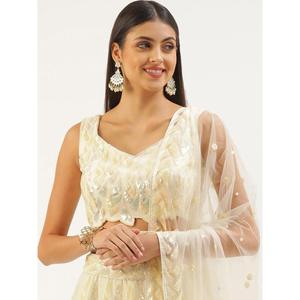 ชุดตาข่ายประดับเลื่อมสีเบจอันรุ่งโรจน์สำหรับงานรื่นเริง lehenga choli กับ dupatta - Product Image 4