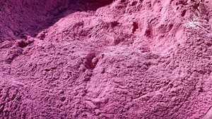 Poudre d'Ube de Qualité Alimentaire Très Demandée, Extrait Pur d'Igname Violette UBE du Vietnam - Product Image 4