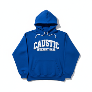 OEM Custom 3D Puff Print Hoodie 500GSM Heavyweight Pigment Dyed Oversized Men Women Boxy Fit Thick Fleece Pullover Sweatshirt - Product Image 1
