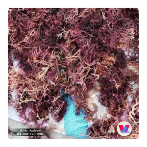 MORUE DE MER VIOLETTE SÉCHÉE AU SOLEIL, NON ÉPRINCIPEUSE, DURABLE, POUR POURPRE, EN POUDRE, EN GEL ET EN SALADE (QUALITÉ ALIMENTAIRE) - Product Image 1
