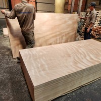 Norme européenne Okoumé Commercial Contreplaqué 12mm/15mm/18mm Okoumé Contreplaqué de haute qualité Vente en gros du fabricant au Vietnam