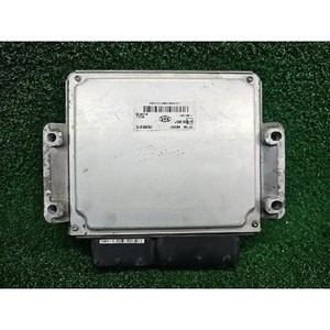 ECUs y Módulos de Computación Usados de Carnival 391044X945 - Product Image 2