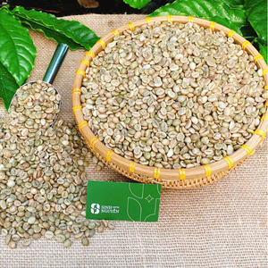 Café Robusta Vert Premium du Vietnam OEM 95% Non Torréfié Brut en Sac de 60kg en Vrac pour l'Exportation Directe - Product Image 2