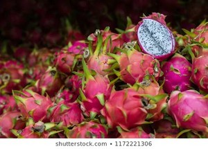 Fruta del Dragón Roja Fresca (Pitaya) de Vietnam |   Jugoso, Sabor Intenso, Calidad de Exportación // Mr.Tom - Product Image 2