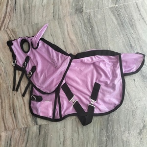 Custom Hoge Kwaliteit Paardrijdeken Paardensport Miniatuur Opkomst Stal Paard Gepersonaliseerd Paard Miniatuur Tapijt - Product Image 5